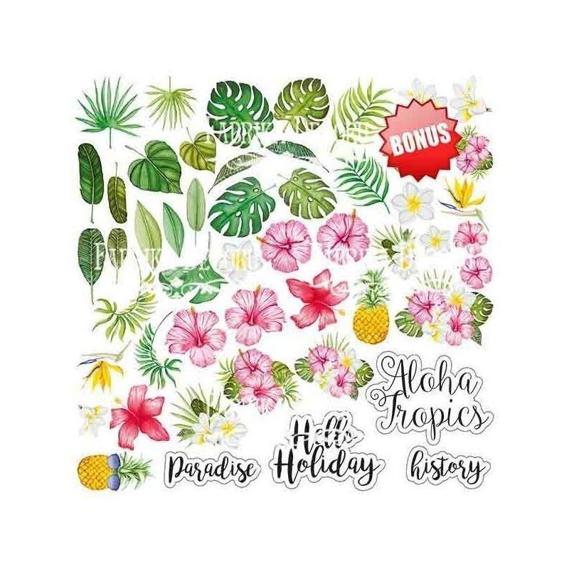 Papel Wild Tropics Fabrika Decoru 20 Cm X 20 Cm (10 Pcs)