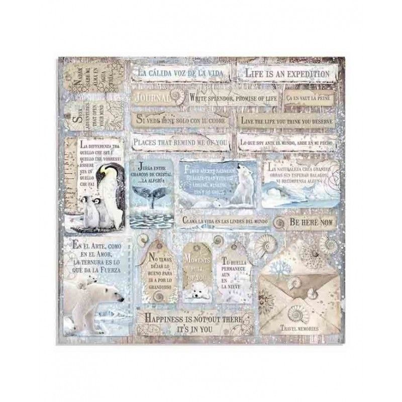 Bloc Artic Antartic 10 Hojas (30 X 30 Cm) Doble Cara
