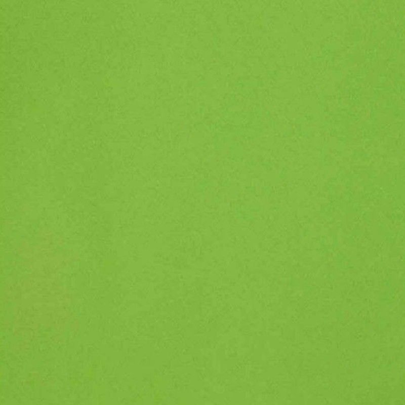 CARTULINA POPSET PISTACHO 170 GR 30,5cm x 30,5cm (12 HOJAS)