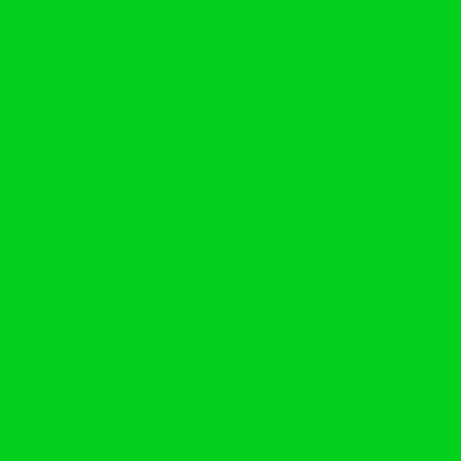 Cartulina Plana Verde Pasto (30.5 X 30.5 Cm) 6 Hojas
