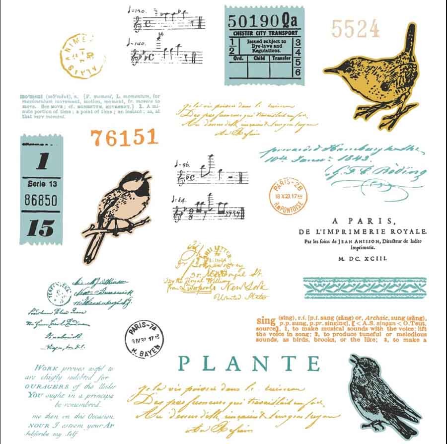SELLOS Y TROQUELES CANTO DE PAJARO SIZZIX (28 PCS)