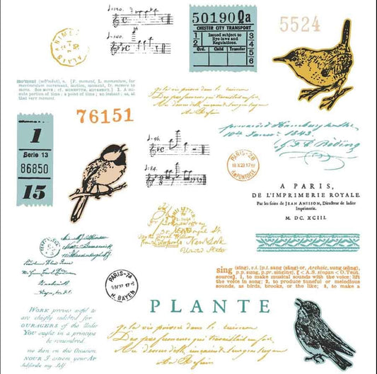 SELLOS Y TROQUELES CANTO DE PAJARO SIZZIX (28 PCS)