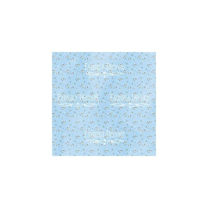 Set De Papeles Shabby Baby Boy 30.5 X 30.5 Cm (Doble Cara)