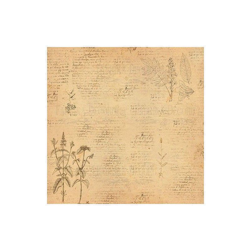 Set De Papeles Botany Summer 30.5 X 30.5 Cm (Doble Cara)