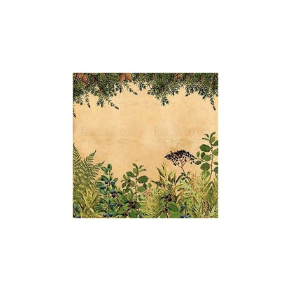 Set De Papeles Botany Summer 30.5 X 30.5 Cm (Doble Cara)