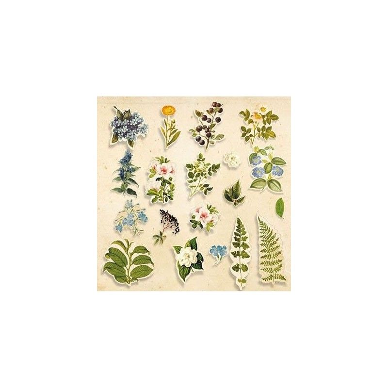 Die Cuts Coleccion "Botany Summer" 59 Pcs