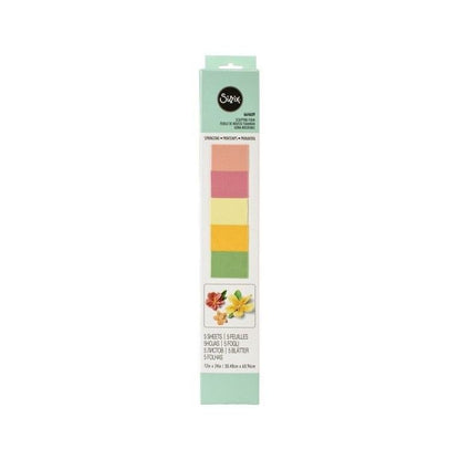 Foamy Moldeable Para Flores Primavera Sizzix (5 Hojas)