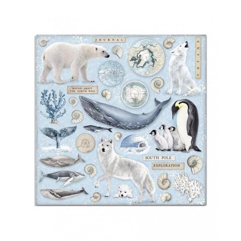 Bloc Artic Antartic 10 Hojas  (30 X 30 Cm) Doble Cara