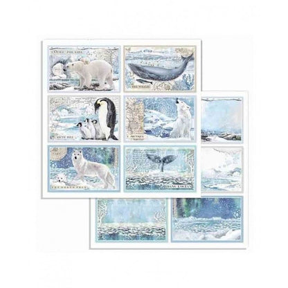 Bloc Artic Antartic 10 Hojas  (30 X 30 Cm) Doble Cara