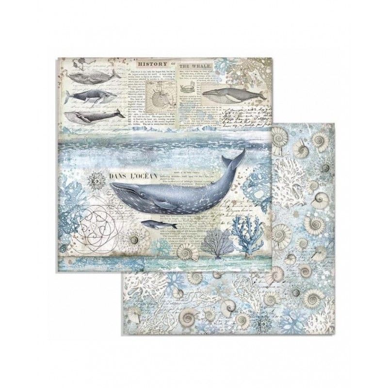 Bloc Artic Antartic 10 Hojas  (30 X 30 Cm) Doble Cara