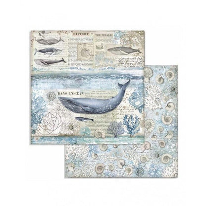 Bloc Artic Antartic 10 Hojas  (30 X 30 Cm) Doble Cara