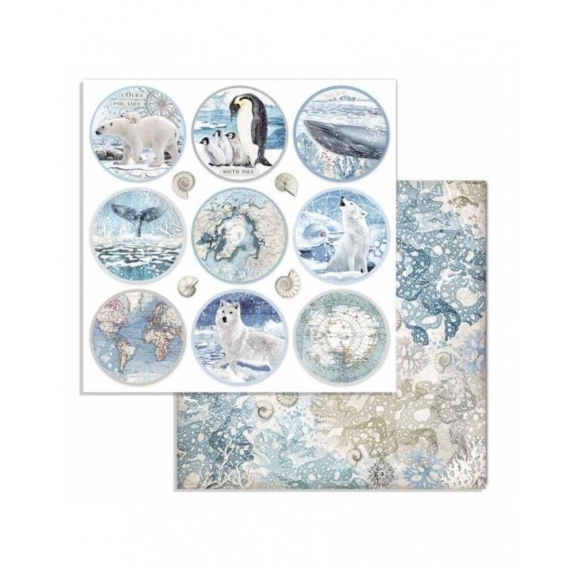 Bloc Artic Antartic 10 Hojas  (30 X 30 Cm) Doble Cara