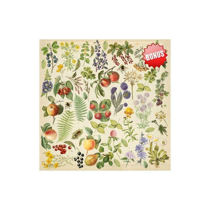 SET DE PAPELS SUMMER BOTANICAL DIARY 30.5CM X 30.5CM