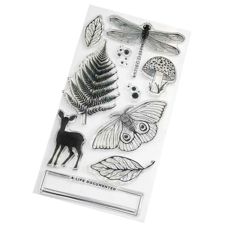 Sellos Acrilicos Fernwood (10 Pcs)